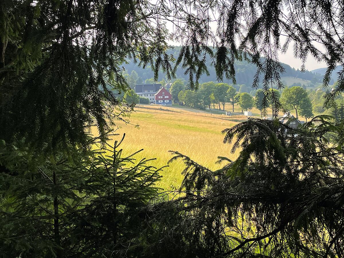 Blick durch die Bäume auf die Ferienwohnung