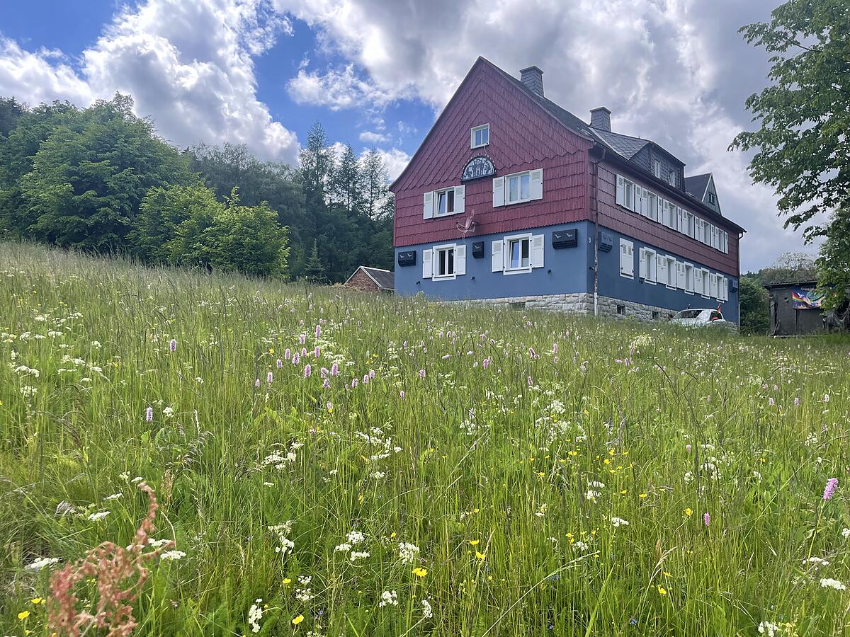 Ferienhaus an der Bergwiese im Sommer