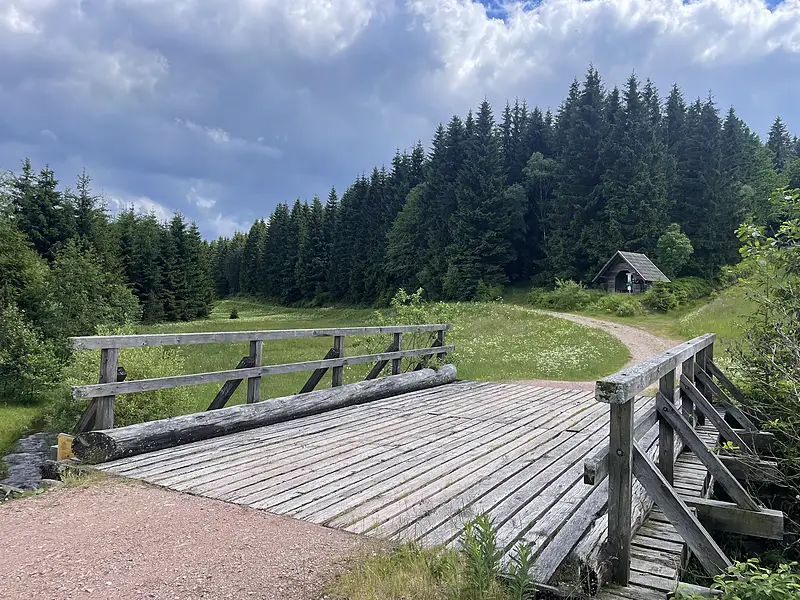 Umgebung Sommer Holzbruecke Wanderweg 800w – Ferienwohnungen Rehefeld-Zaunhaus