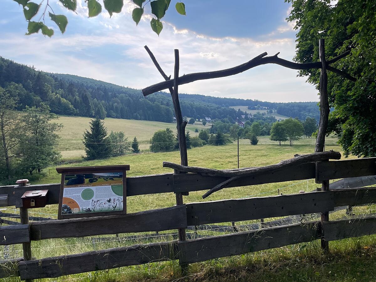 Naturlehrpfad mit Blick ins Tal bei Rehefeld