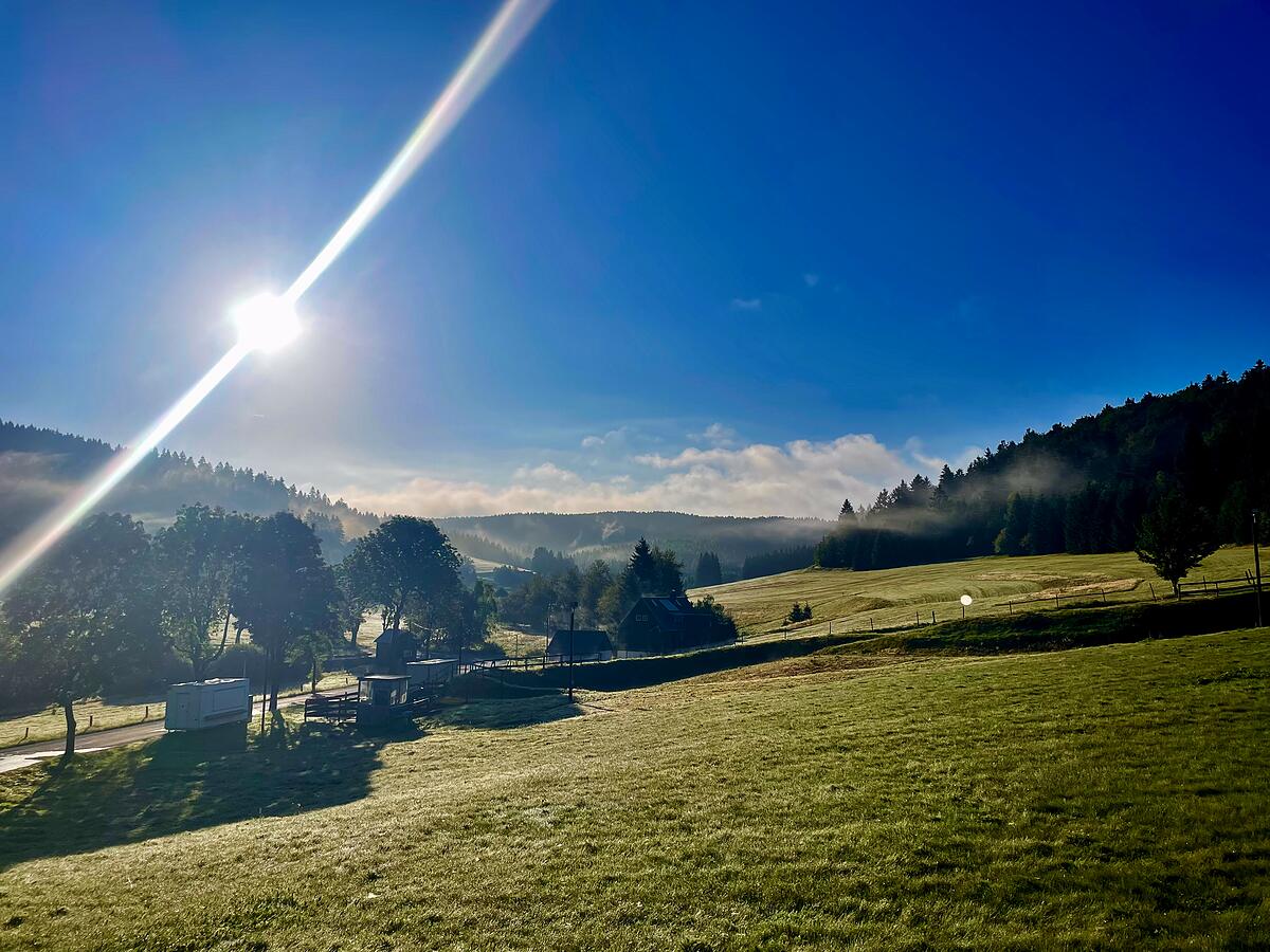 Wohnzimmerblick auf die Wildblumenwiese