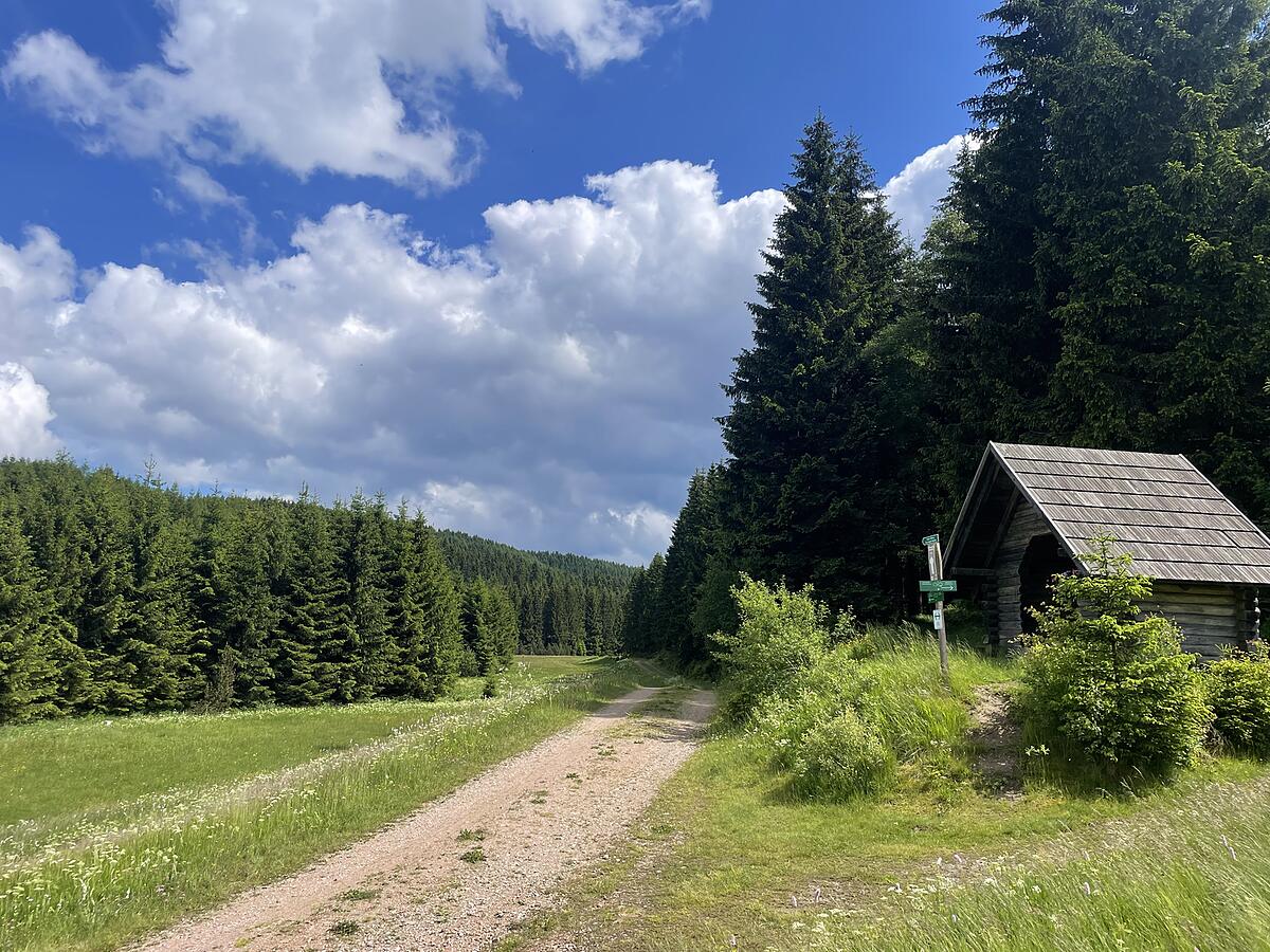 Schutzhütte am Wanderweg bei Rehefeld
