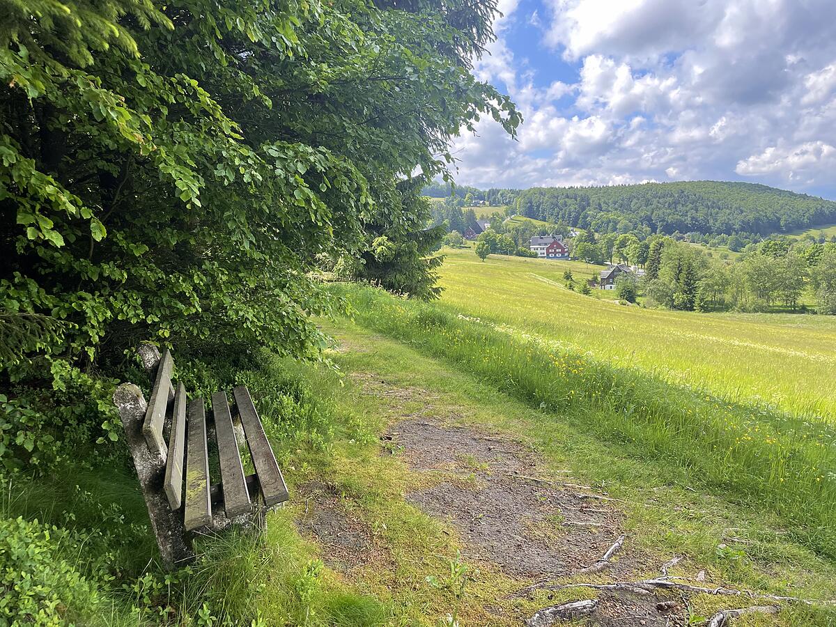 Aussicht vom Wanderweg auf Rehefeld im Sommer