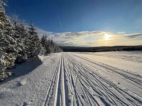Loipe der Skimagistrale Erzgebirge bei Altenberg